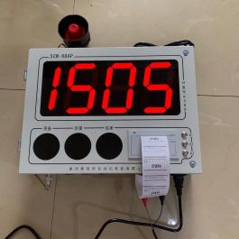 SCW-98AP現(xiàn)場帶打印數(shù)據(jù)微機鋼水測溫儀